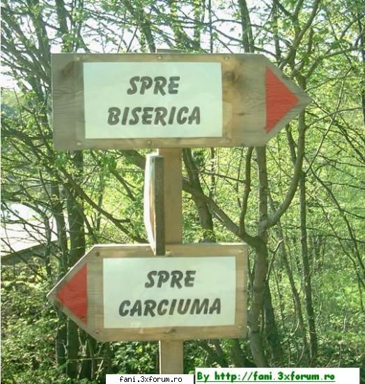 Intra dak vrei sa razi... - Decizie grea...=D - Poze Funny