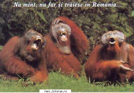 Intra dak vrei sa razi... - crisstyano - Poze Funny